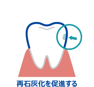 再石灰化を促進する